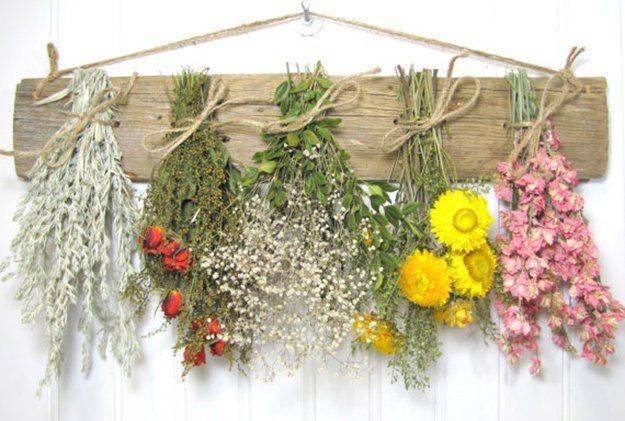 Dried Flowers and Herbs
