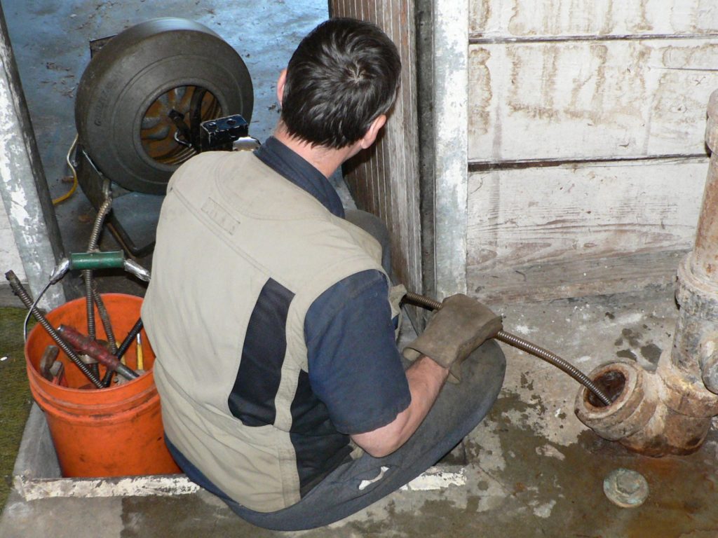 sewage backup in basement