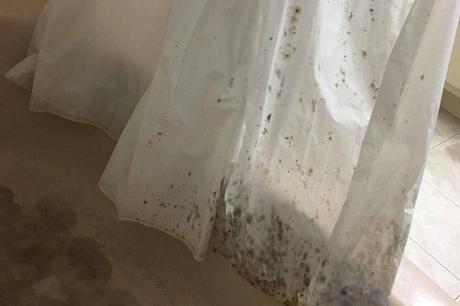 how to clean shower curtain mold